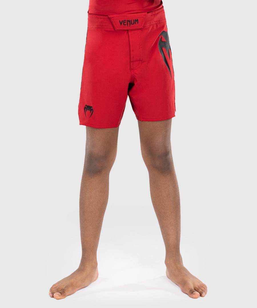 venum light kids fight shorts - cherry red